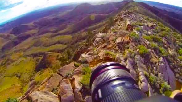 Wild Australia Ediacara