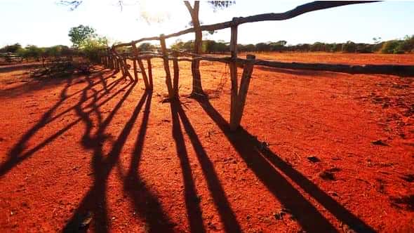 Wild Australia Narryer